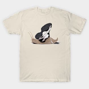 The Sneaker T-Shirt